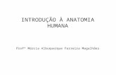INTRODUÇÃO À ANATOMIA HUMANA Profª Márcia Albuquerque Ferreira Magalhães.