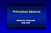 Princípios básicos Roberto DeLucia ICB-USP.  Fármaco é toda substância de composição química definida ou não, que altera as funções fisiológicas, bioquímicas.