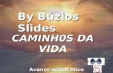 CAMINH0S DA VIDA By Búzios Slides Avanço automático.