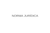 NORMA JURÍDICA. FONTES DO DIREITO FORMAIS –Estatais Legislativa Jurisprudencial Convencional.
