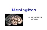 Meningites Marcia Bandeira 05/ 2011. MENINGITE “Processo inflamatório que acomete o SNC, levando à injúria cerebral e alterações sistêmicas.”