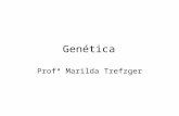 Genética Profª Marilda Trefzger. Mono-hibridismo com Dominância Herança condicionada por um par de alelos. Dois fenótipos possíveis em F 2. Três genótipos.
