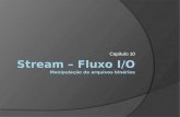 Capítulo 10. Stream – Fluxo I/O  Introdução  Principais Exceptions  Arquivos binários java.io.InputStream java.io.FileInputStream java.io.ByteArrayInputStream.