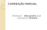 CORREIÇÃO PARCIAL Professor – Alexandre José Gonçalves Trineto.