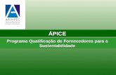 ÁPICE Programa Qualificação de Fornecedores para a Sustentabilidade ÁPICE.