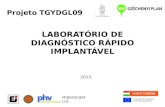 Projeto TGYDGL09 LABORATÓRIO DE DIAGNÓSTICO RÁPIDO IMPLANTÁVEL 2013. MOBIOCHEM Ltd.
