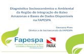 Diagnóstico Socioeconômico e Ambiental da Região de Integração do Baixo Amazonas e Bases de Dados Disponíveis na FAPESPA Geovana Pires Diretor a de Socioeconoia.
