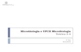 Microbiologia e UPCII Microbiologia Teórica 3-4 2º Ano 2014/2015.
