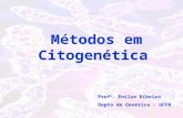 Métodos em Citogenética Prof a. Enilze Ribeiro Depto de Genética - UFPR.