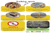 CARTAZ DE SENSIBILIZAÇÃO Sabia que As Beatas são o lixo mais encontrado nas praias de todo o mundo. A Beata de hoje não é biodegradável! Aves e peixes.