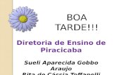 BOA TARDE!!! Diretoria de Ensino de Piracicaba Sueli Aparecida Gobbo Araujo Rita de Cássia Toffanelli Prates.