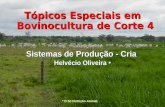 Tópicos Especiais em Bovinocultura de Corte 4 Sistemas de Produção - Cria Helvécio Oliveira * * D.Sc Nutrição Animal.
