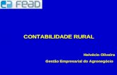 1 CONTABILIDADE RURAL Helvécio Oliveira Gestão Empresarial do Agronegócio.