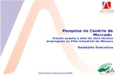 Novembro-Dezembro/2008 Pesquisa de Cenário de Mercado Estudo quanto a mão de obra técnica empregada no Pólo Industrial de Manaus Relatório Executivo.
