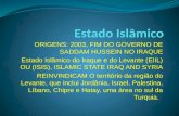 ORIGENS: 2003, FIM DO GOVERNO DE SADDAM HUSSEIN NO IRAQUE Estado Islâmico do Iraque e do Levante (EIIL) OU (ISIS), ISLAMIC STATE IRAQ AND SYRIA REINVINDICAM.