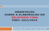 ORIENTAÇÃO SOBRE A ELABORAÇÃO DO RELATÓRIO FINAL PIBIC-2015/2016 Porto Velho-RO, 03 de março de 2016.