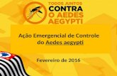 Fevereiro de 2016 Ação Emergencial de Controle do Aedes aegypti.