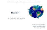 REACH O FUTURO NO BRASIL Claudia Camargo 042662 Gisele Samora 061162 Priscila Shoji 063749 FR802 – Controle de Qualidade Físico e Químico de Medicamentos.