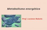 Metabolismo energético Prof. Luciene Rabelo. Metabolismo energético.