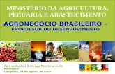 MINISTÉRIO DA AGRICULTURA, PECUÁRIA E ABASTECIMENTO Apresentação à Embrapa Monitoramento Ambiental Campinas, 24 de agosto de 2005 AGRONEGÓCIO BRASILEIRO.