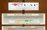 Zaqpatas Trapezoidales- Concreto II