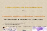 Laboratório de Parasitologia - P1