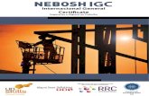 Catálogo NEBOSH pt.pdf