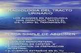 Radiologia Del Tracto Urinario