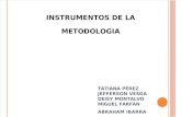 Instrumentos de La Metodologia