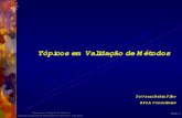 Validação de Metodos Analíticos_Oscar Bahia.pdf