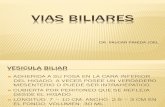 7 VIAS BILIARES.pdf