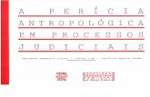 A Perícia Antropológica em Processos Judiciais.pdf