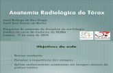 anatomia-radiologica slides.pdf