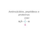 Aminoácidos, peptídeos e proteínas 2016.ppt