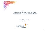 Civil - Inspeção Periódica de Gás – IPG