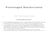 6.- Fisiologia bacteriana.pdf
