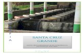 Monografia Santa Cruz Grande "San Juan Coajomulco"