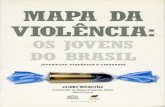 Mapa Da Violência - Os Jovens Do Brasil - Jacobo Waiselfisz