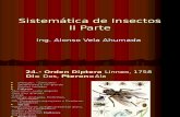 Sitemática de Insectos II parte1.ppt