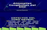 Anomalías Congénitas Del SNC (1)