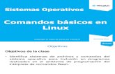 10 - Comandos Básicos Linux.pdf