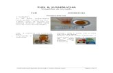 Jun&Kombucha-Sugestões de Iniciação_V5