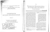 Handbook de Estudos Organizacionais - Vol 1 - Teorizacao Organizacional_ Um Campo Historicamente Contestado.pdf