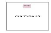 apostila cultura 5s.doc