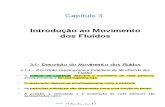 Descrição Euleriana e Lagrangeana de Um Escoamento - Cap 3 Cinematica Dos Fluidos e 4 Equacoes Fundamentais