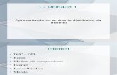 Apresentação do Ambiente Distribuído da Internet.pdf