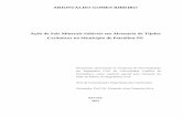 dissertação_ribeiro CE solo.pdf