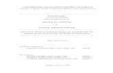 Análise de Modelos de Medição Dissertação mestrado.pdf