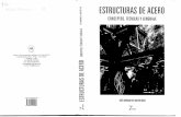 ANDRADE de MATTOS DIAS, Luis - Estructuras de Acero