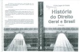 Flávia Lages de Castro - História do Direito Geral e Brasil.pdf